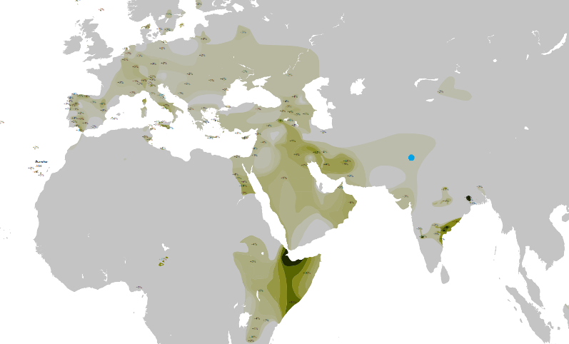 Y-DNA Map Haplogroup T